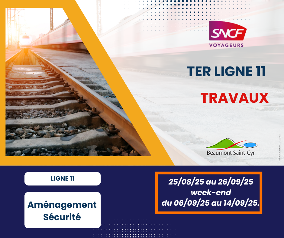 Travaux Ligne 11 TER.png