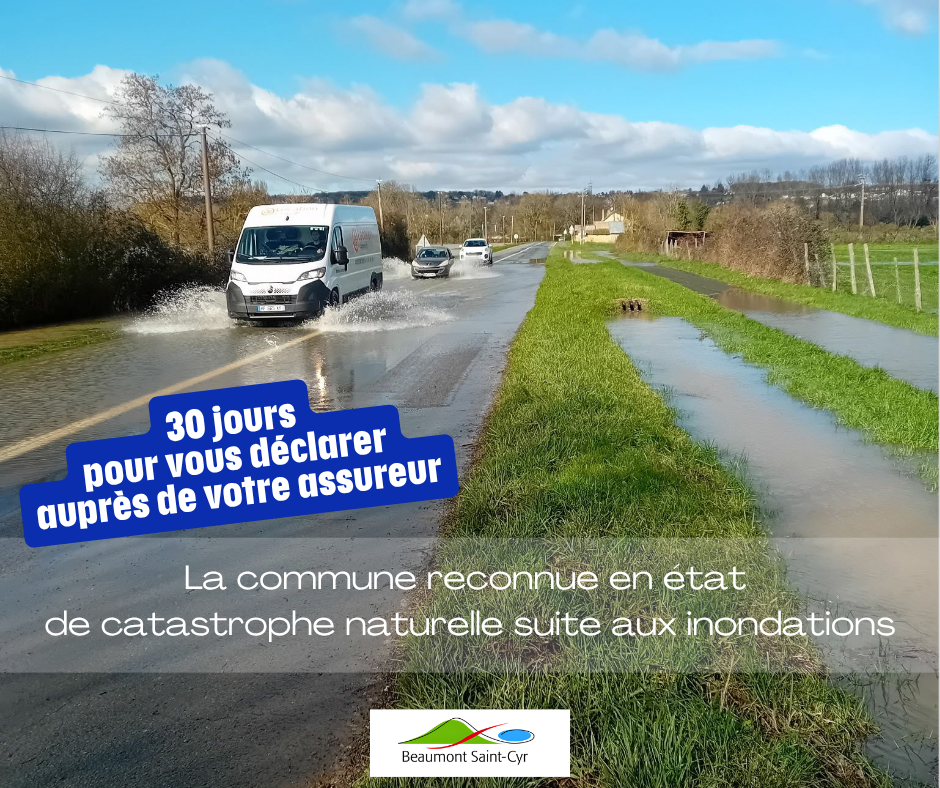 Catastrophe naturelle _1_.png