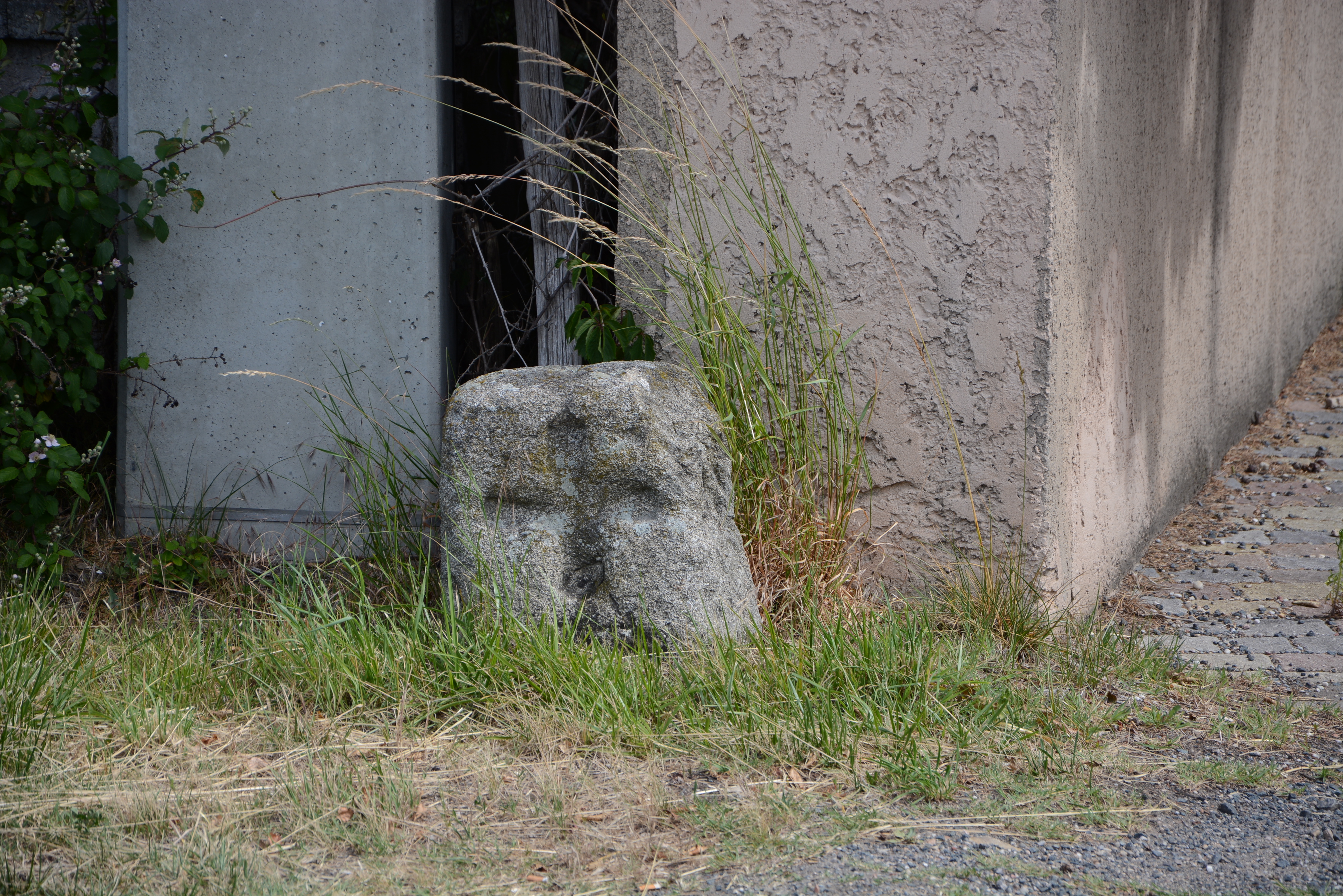 BORNE CROISEE DSC_0908.JPG