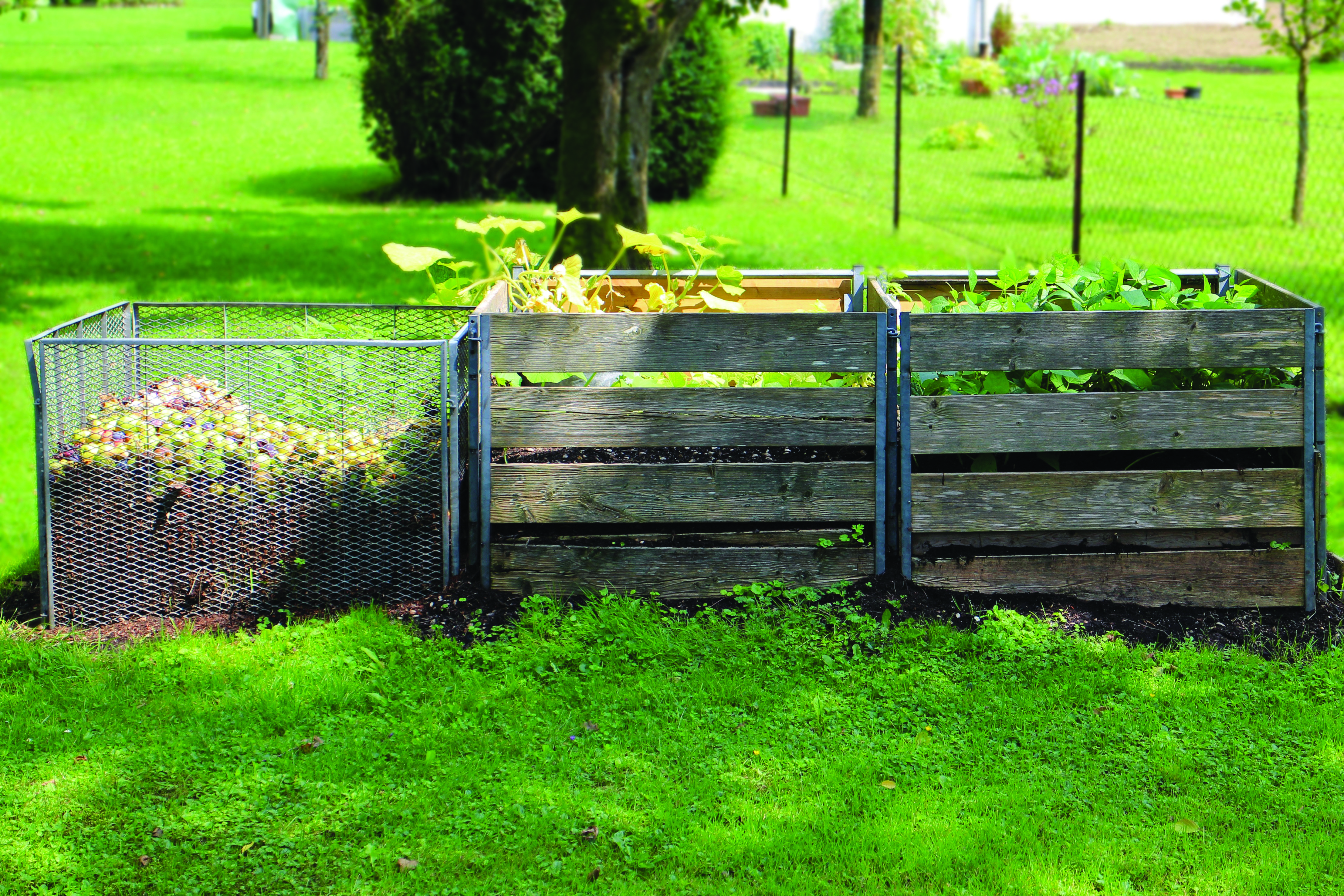 Compost _c_ Manfred Antranias Zimmer de Pixabay.jpg