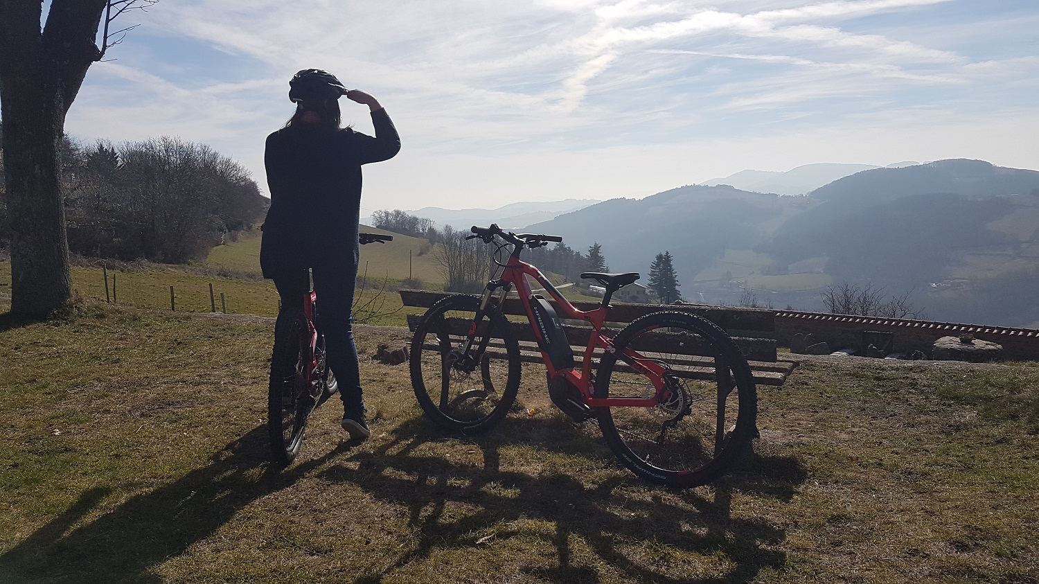 OTVL VTT bd.jpg