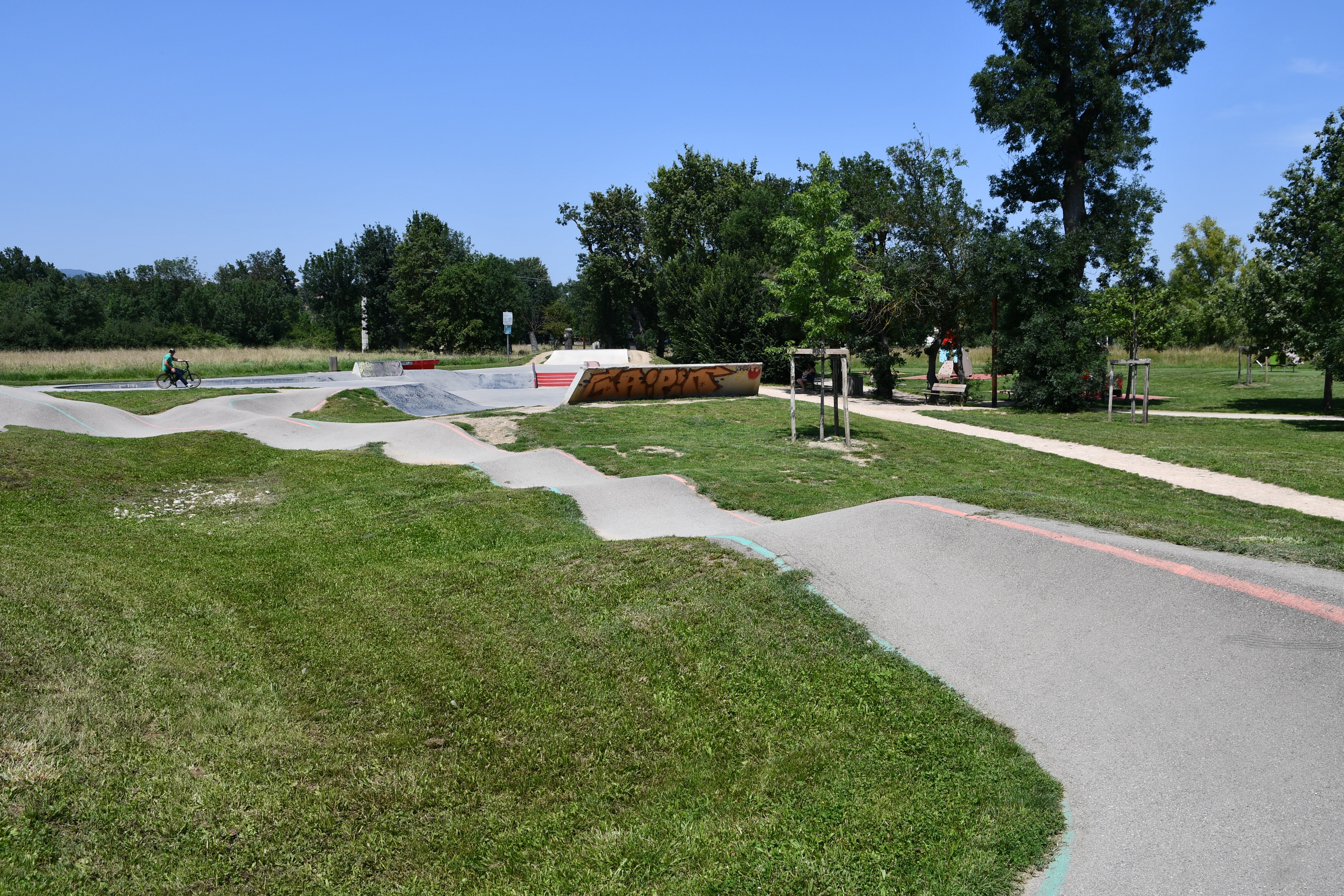 DSC_1581.JPG