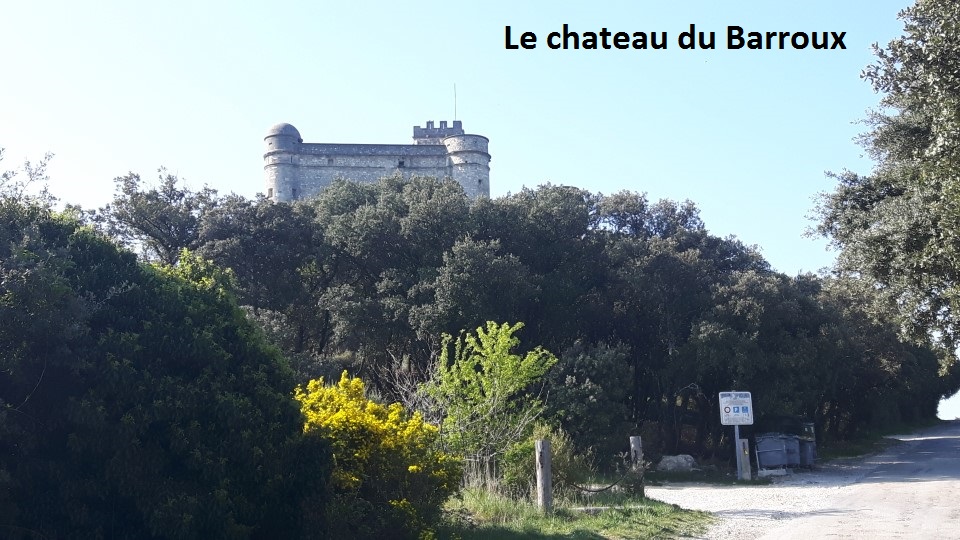 06 Le chateau du Barroux.jpg