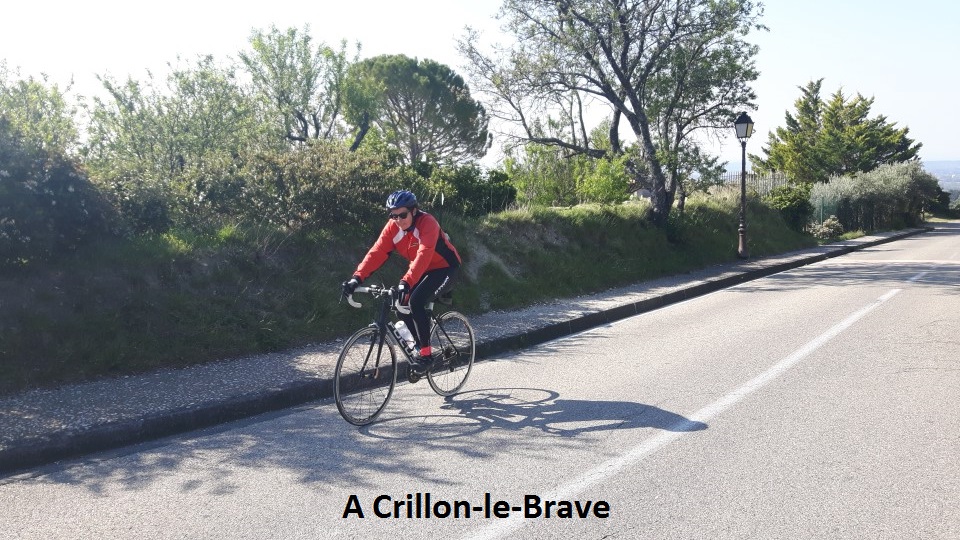 09 Crillon le Brave - Gene.jpg