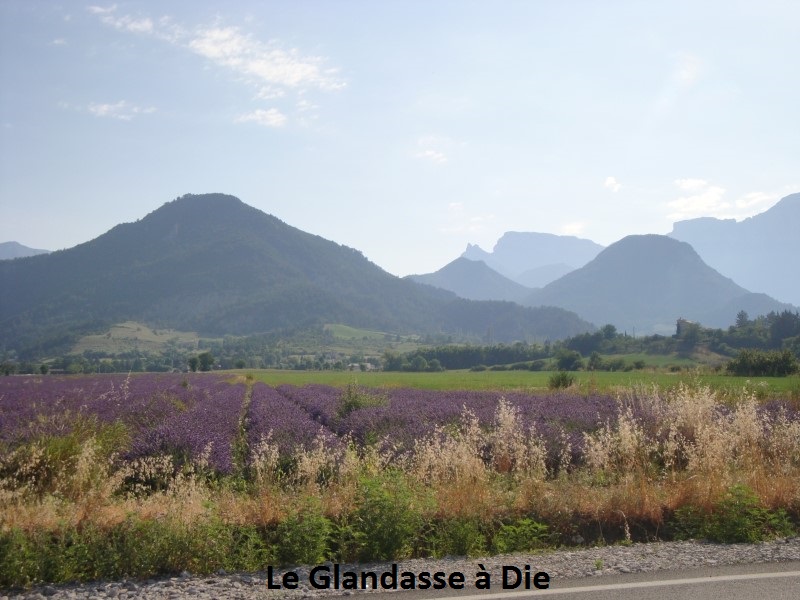 06 - Le Glandasse à Die.jpg