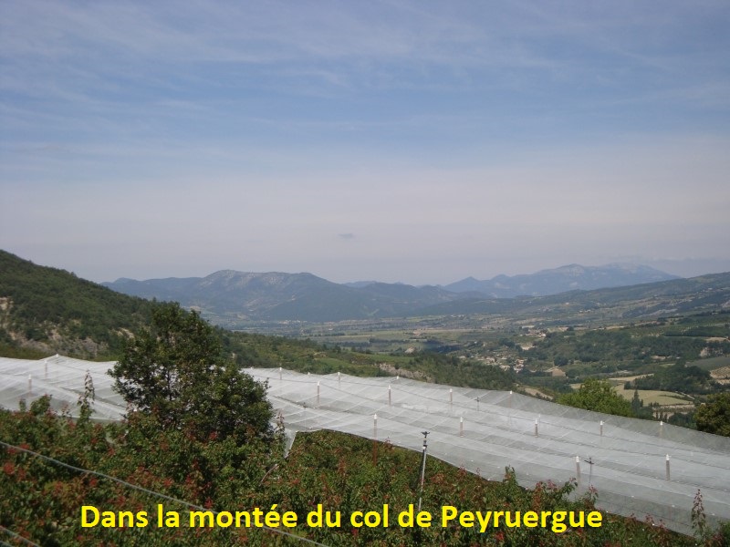 09 Montée du col de Peyruergue.jpg