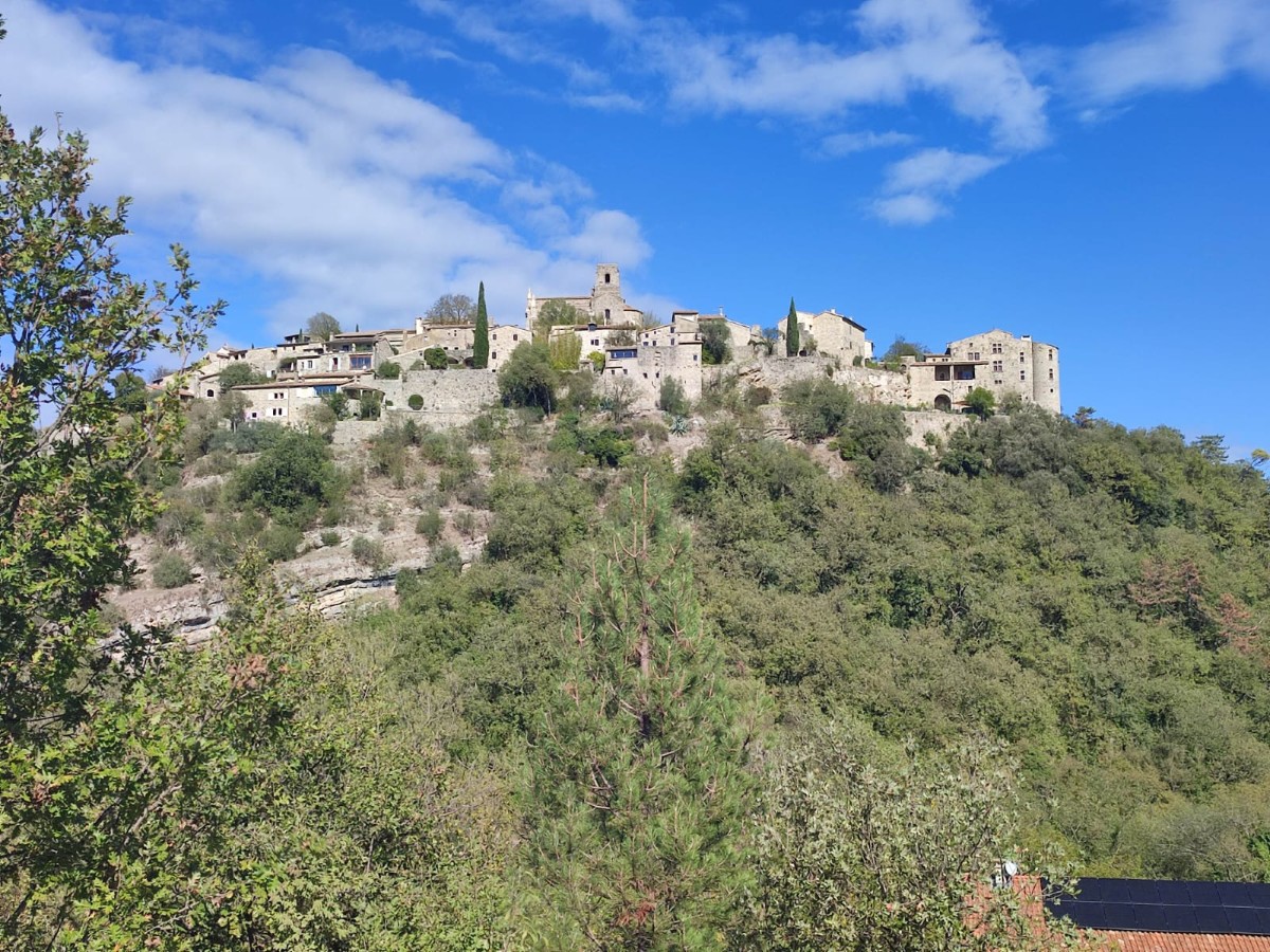 YLAO6907.JPG
