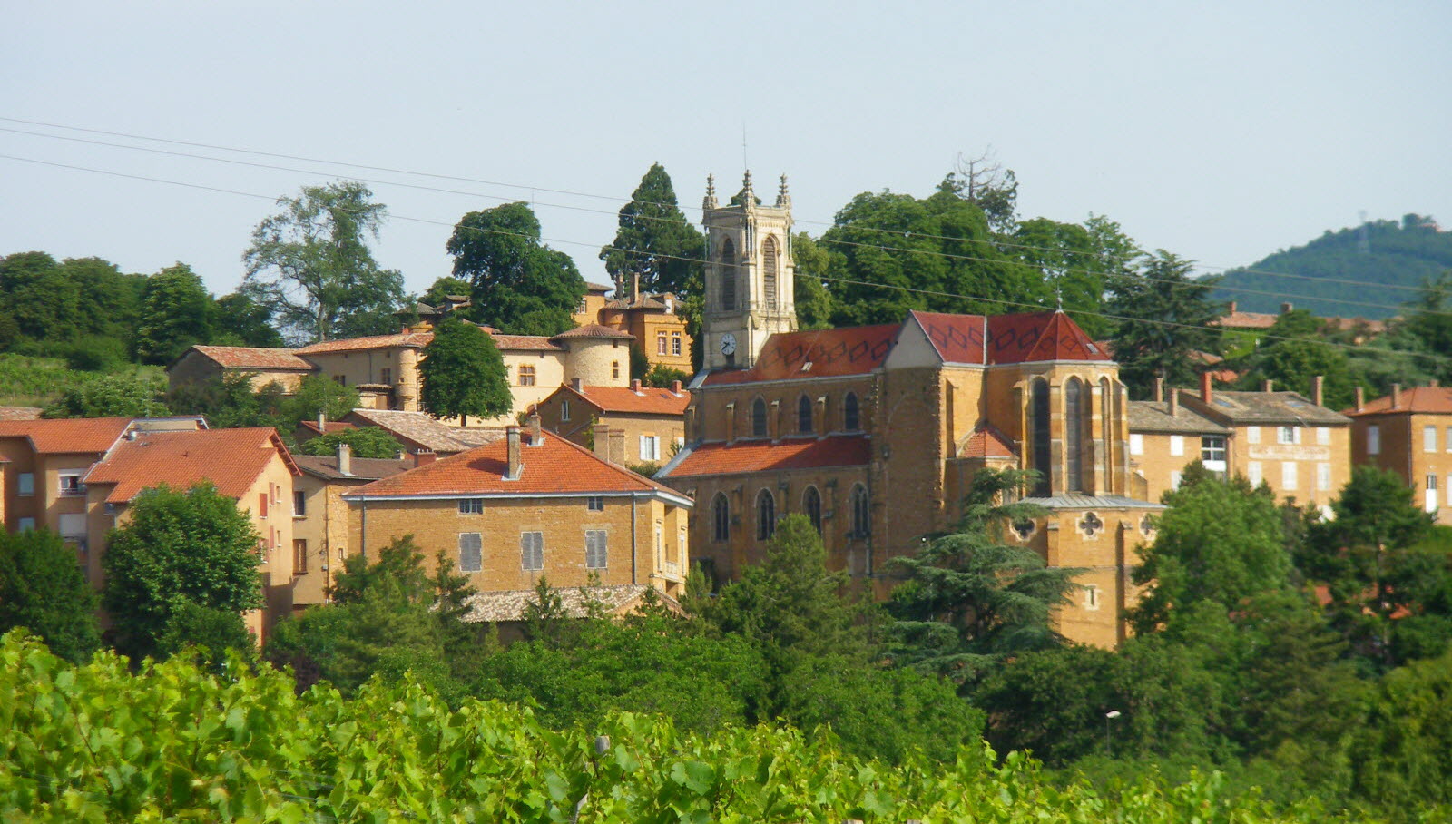 Visites guidées.jpg