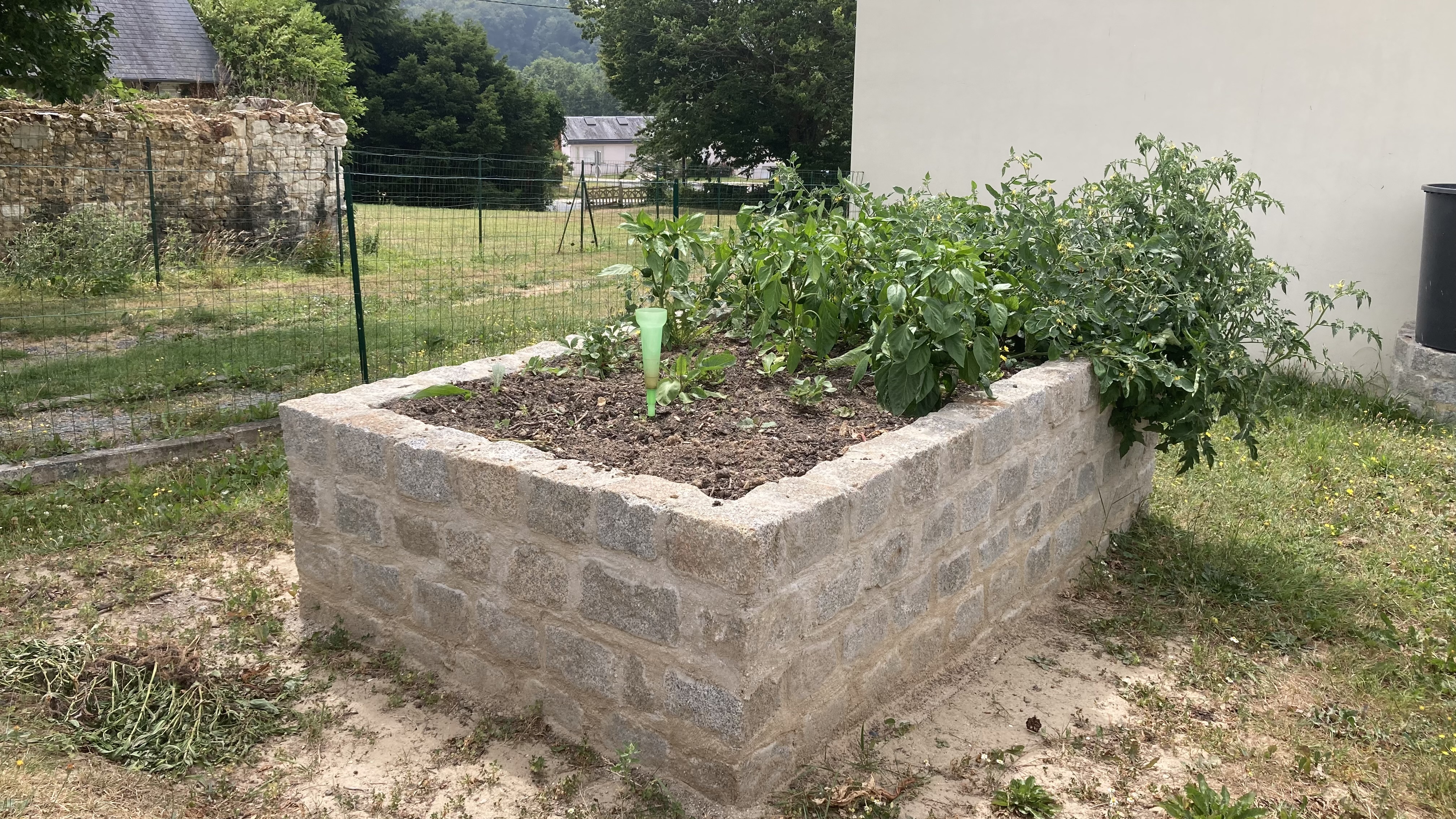 POTAGER Ecole Primaire.jpeg