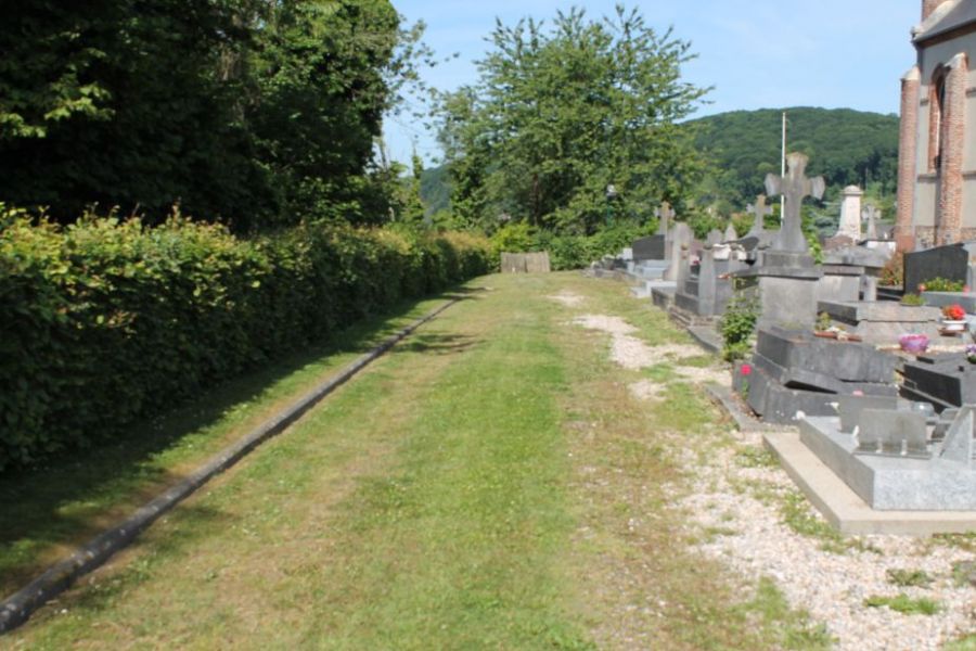 Végétalisation Cimetière.JPG