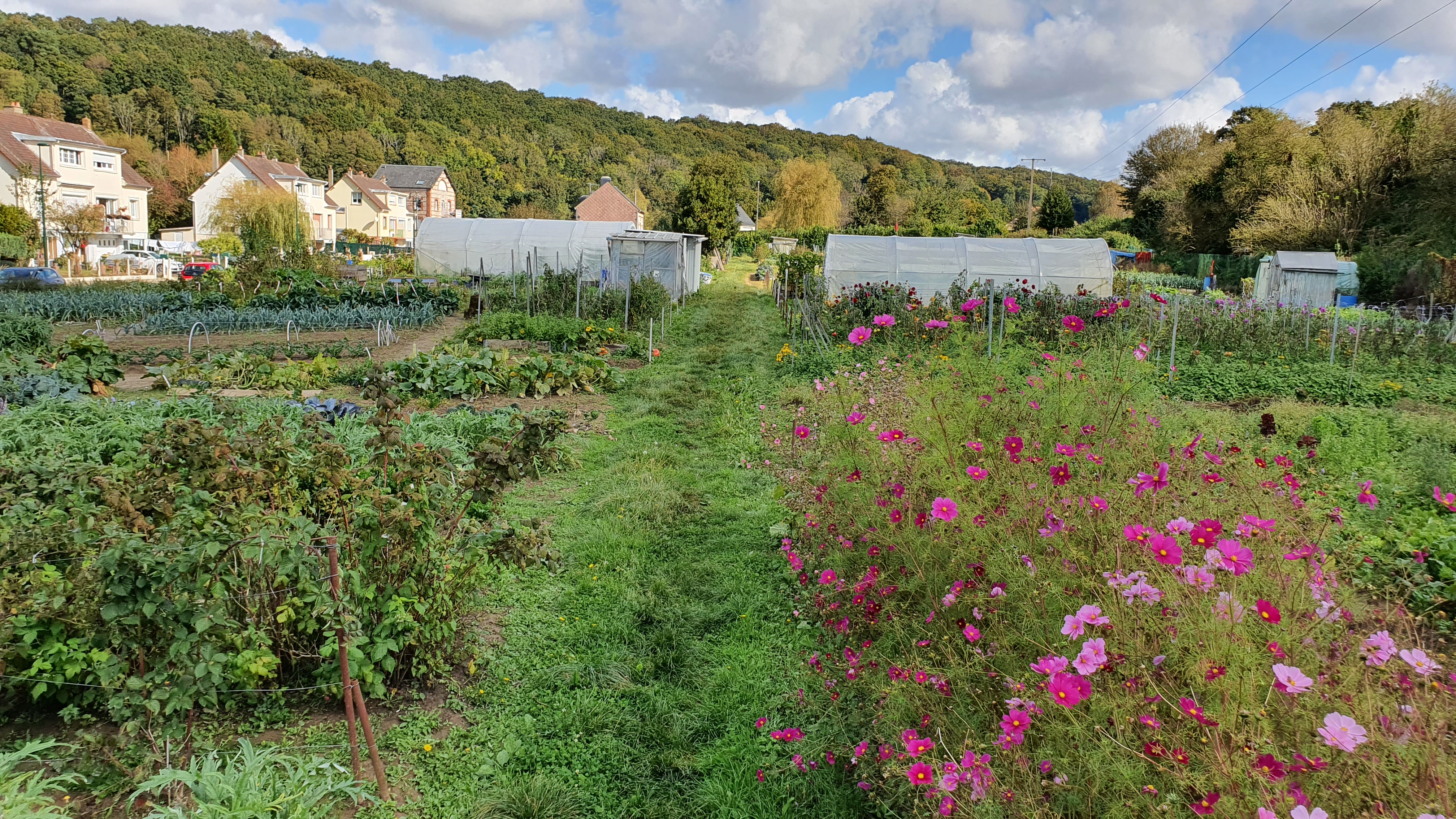 Jardins 2