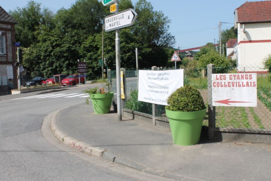 Pots carrefour.JPG