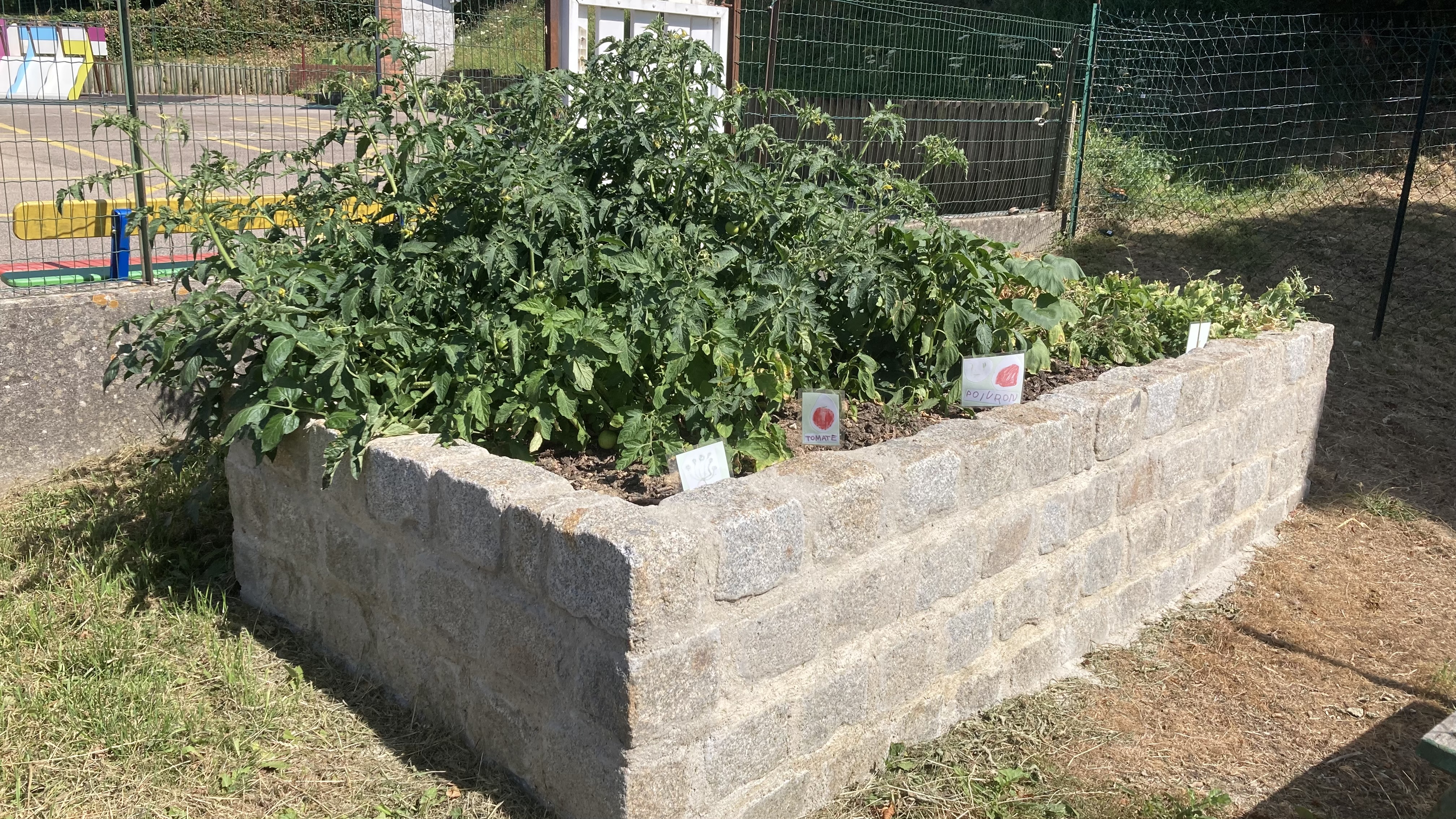Potager Ecole Maternelle.jpeg