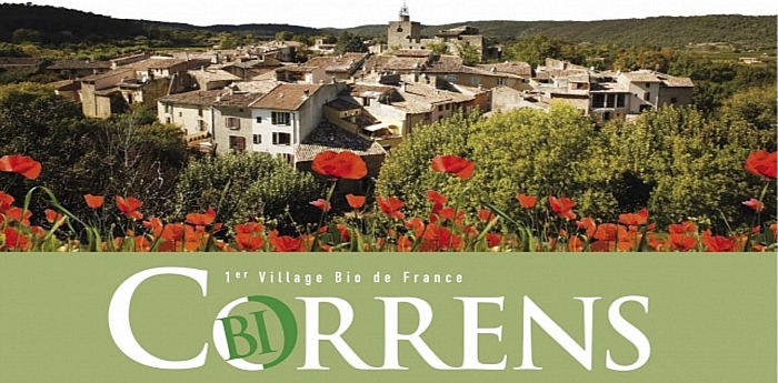 correns-vue_logo.jpg