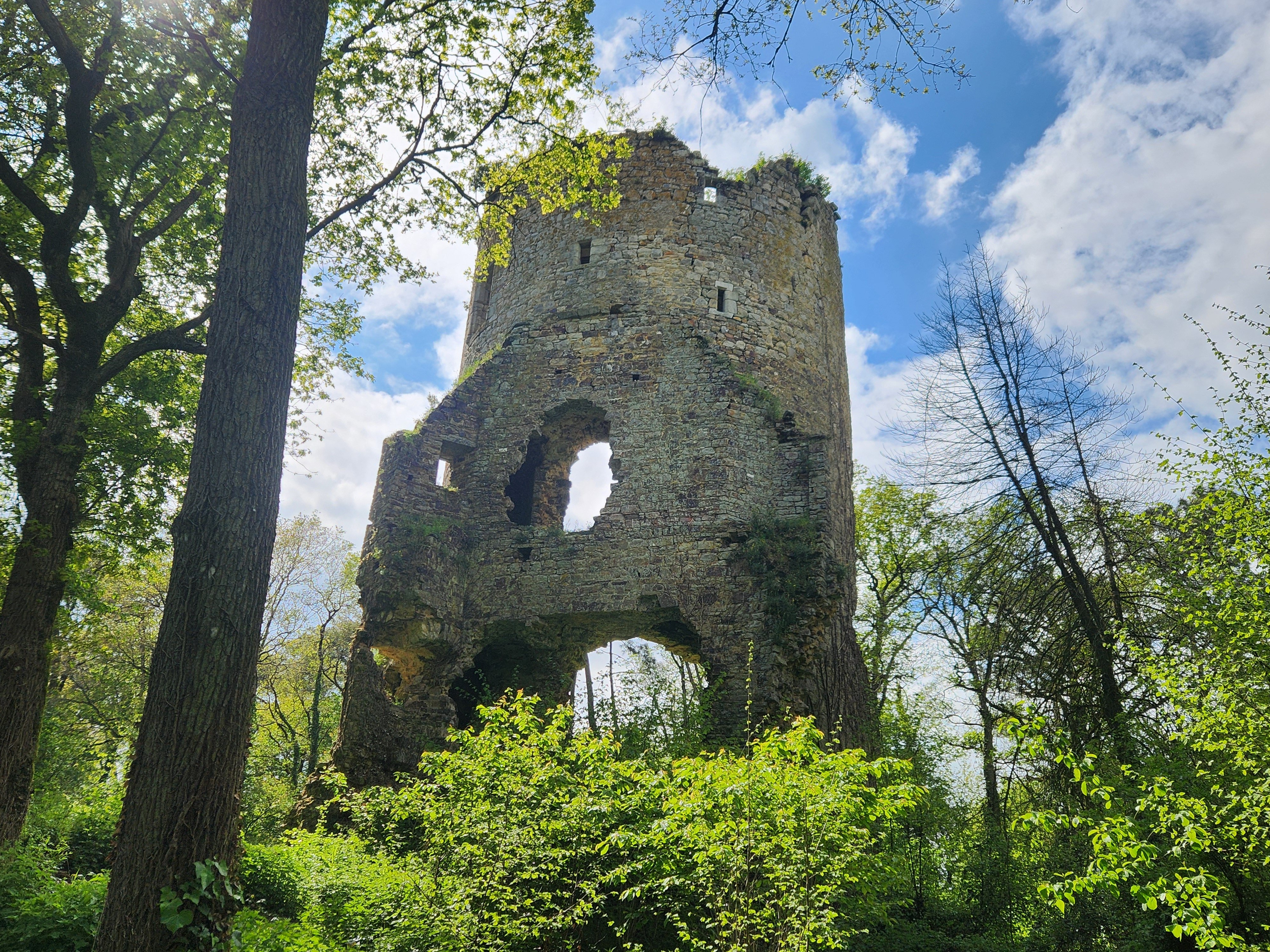 site du château _2_.jpg
