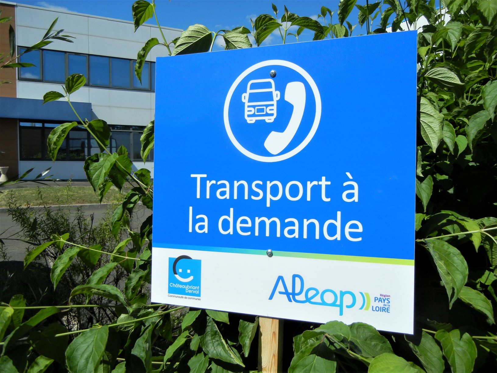 transport à la demande.jpg