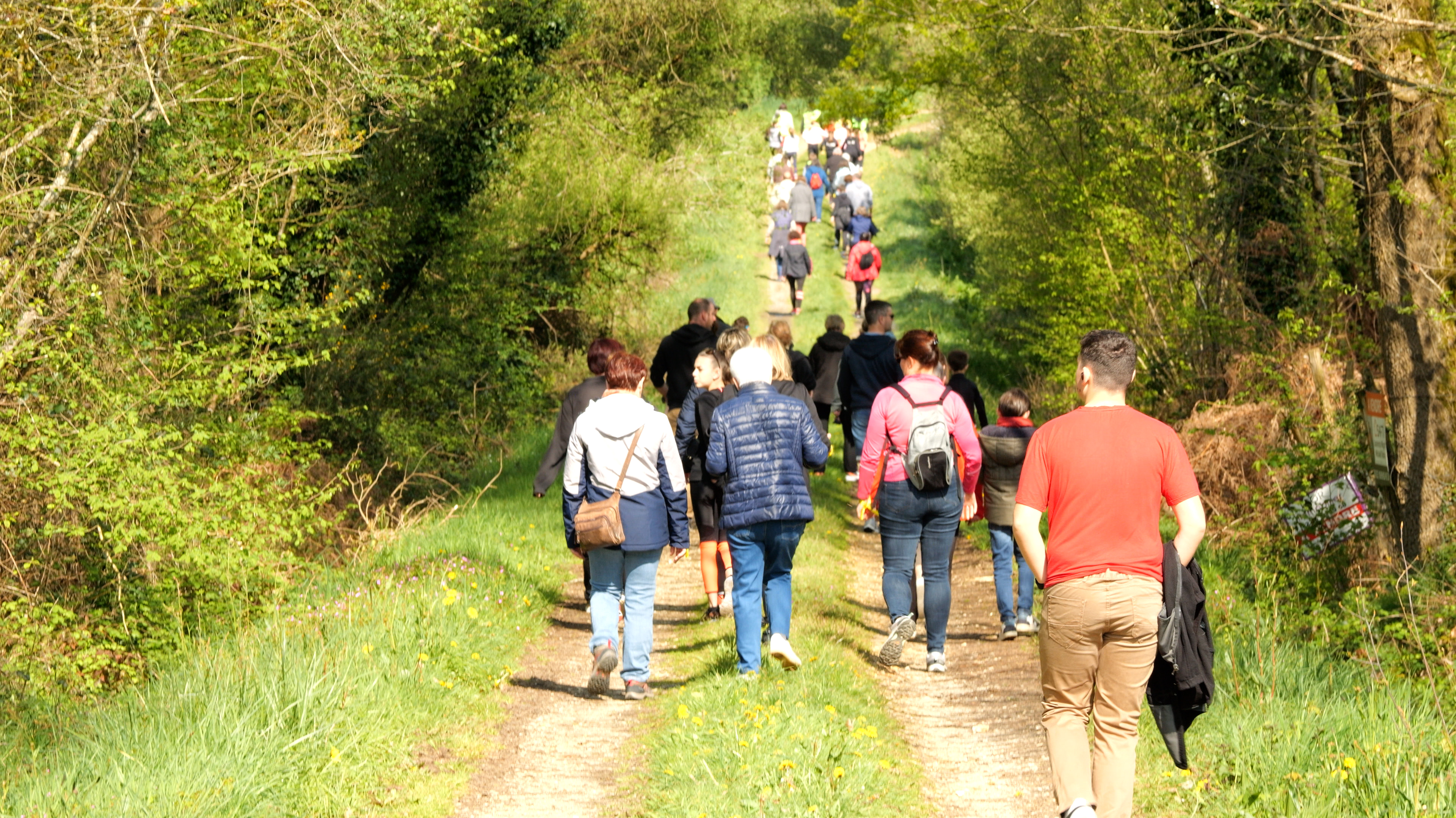 marche6.jpg