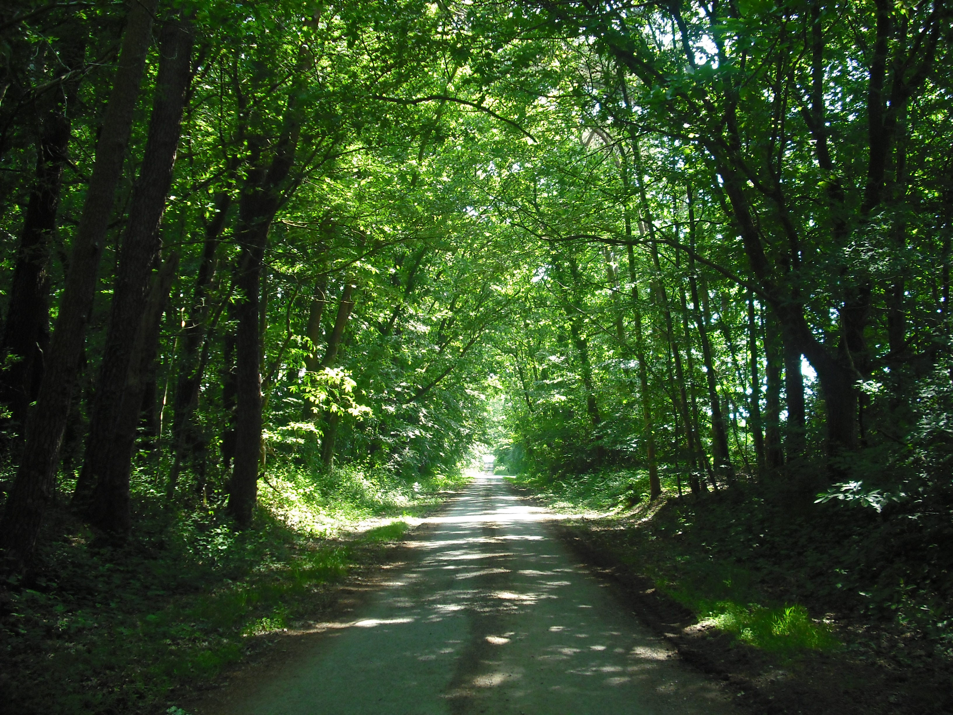sentier.JPG