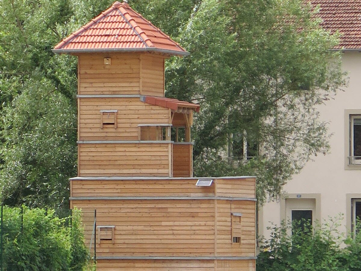 hotel chauve suris.jpg