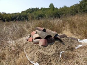 hibernaculum.jpeg