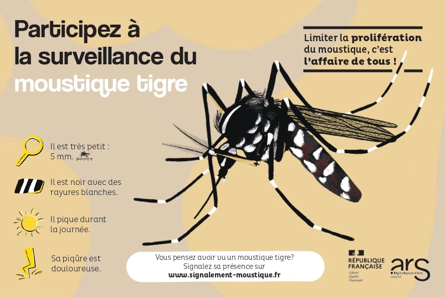 PREVENIR LA PROLIFERATION DU MOUSTIQUE TIGRE