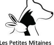 LES PETITES MITAINES.png