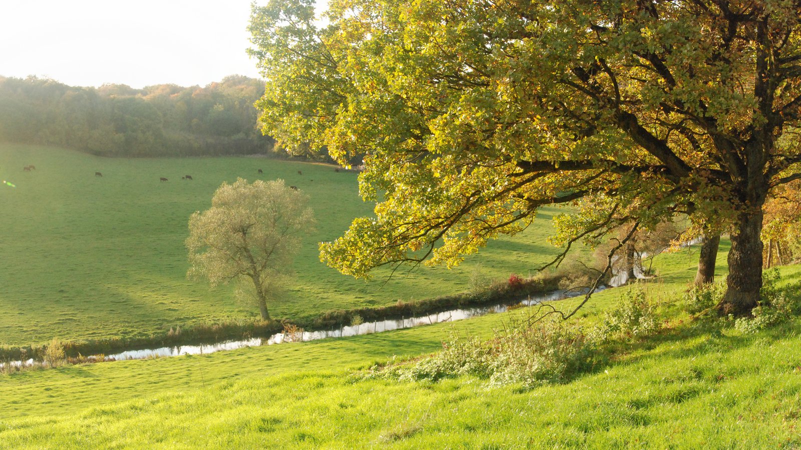 vallée de l_esch.jpg