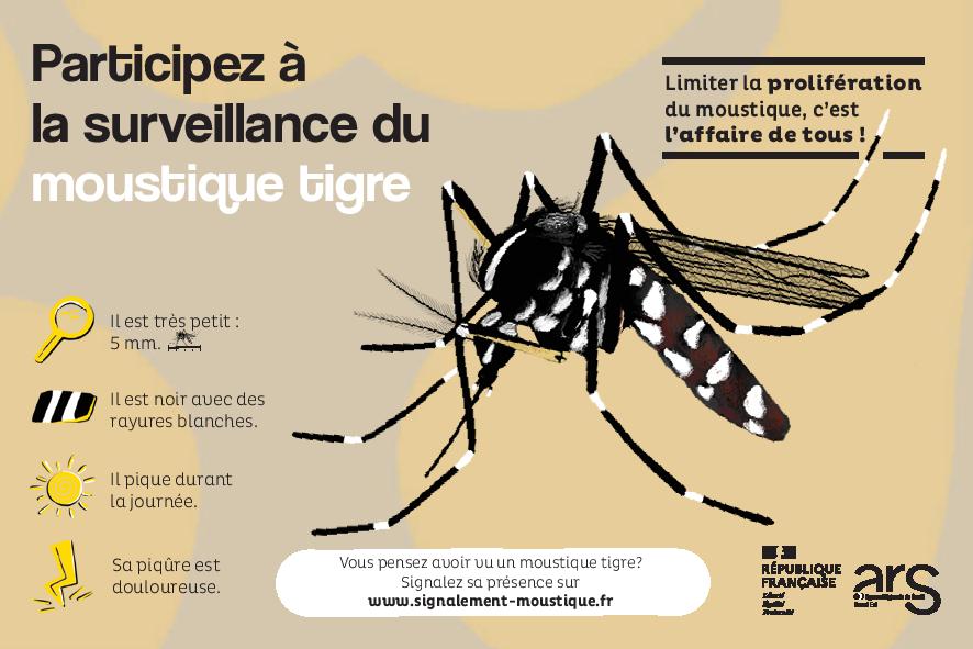 Carte Info-MoustiqueTigre-ARS Grand Est-page-001.jpg