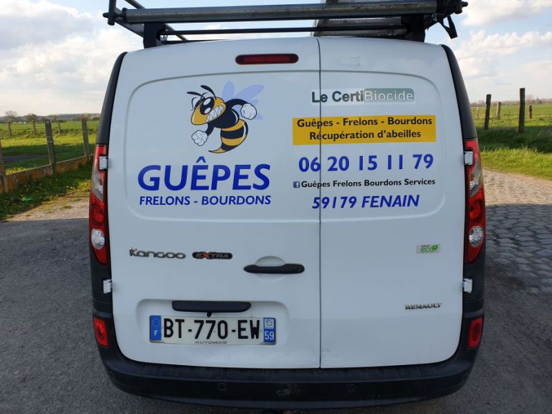 guêpes.jpg