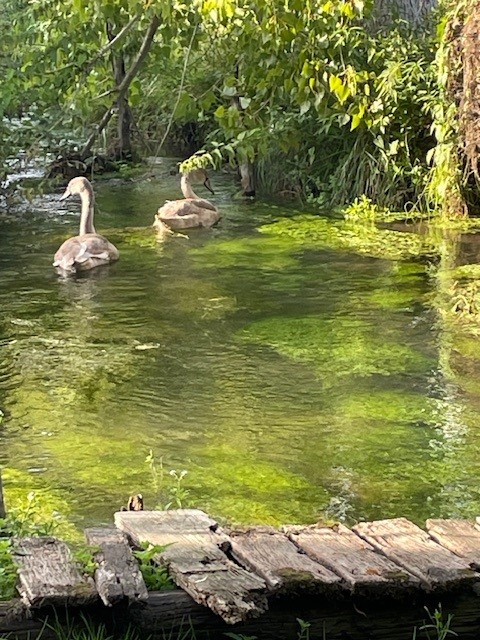 Pied dans l_Epte.jpg