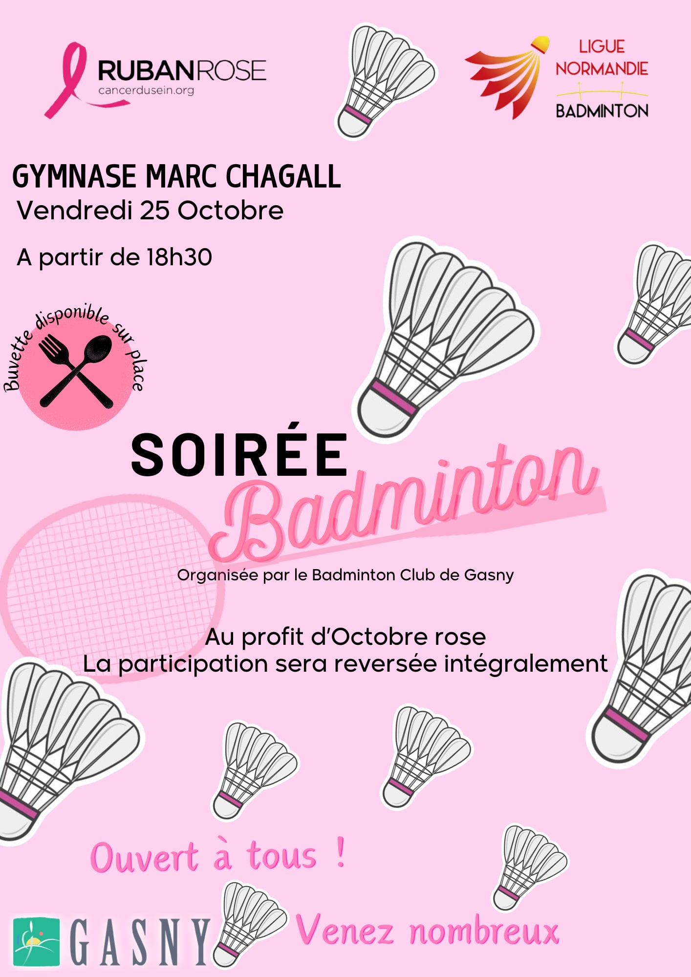 2024 10 25 octobre rose badminton.jpg