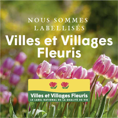 VVF 2ème fleur