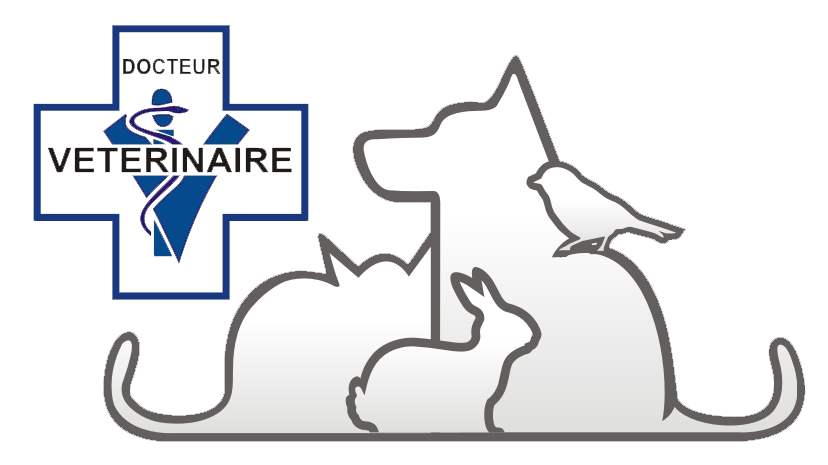 Vétérinaire.png