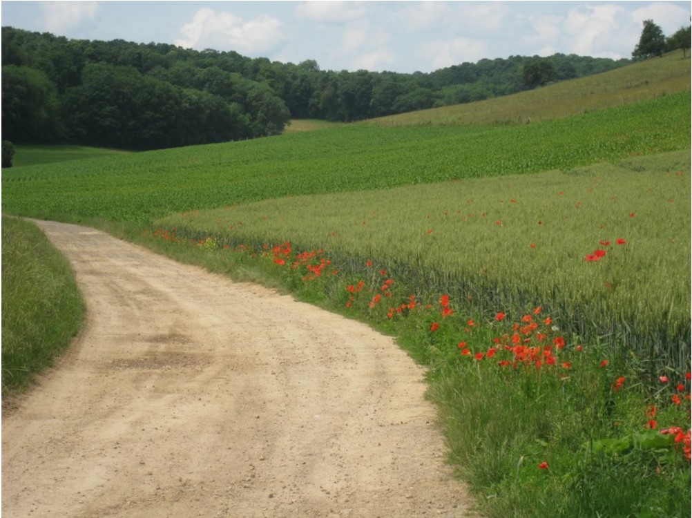 Voie verte et sentier7.jpg