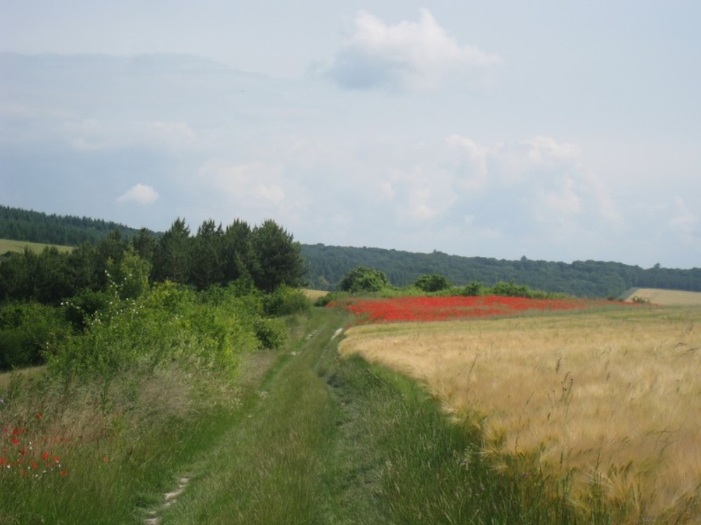 Voie verte et sentier9.jpg