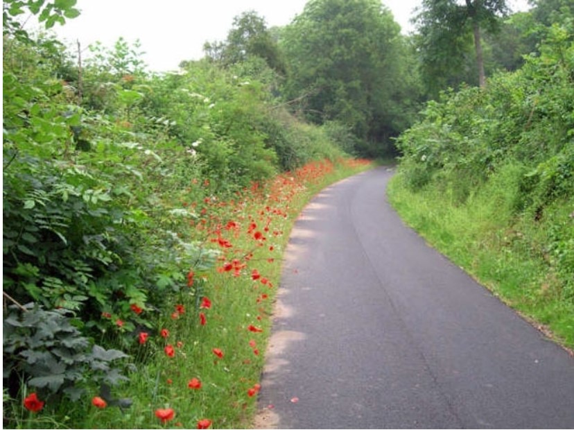 Voie verte et sentier2.jpg