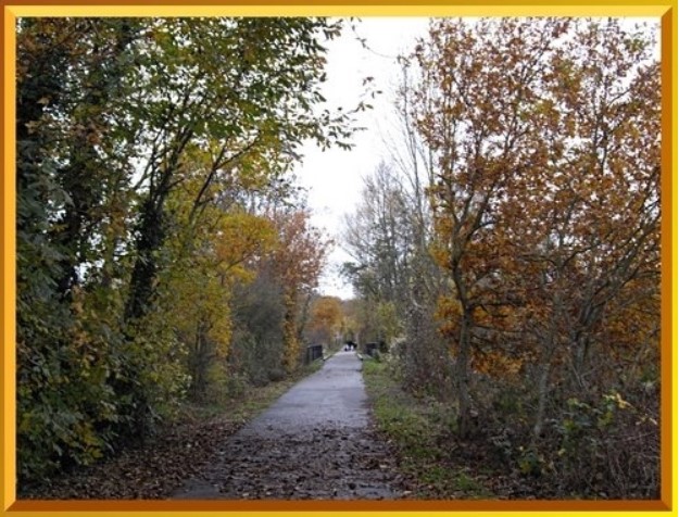 Voie verte et sentier 1.jpg