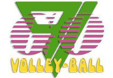 Volley Gasny Omnisport logo GO91 VB.jpg