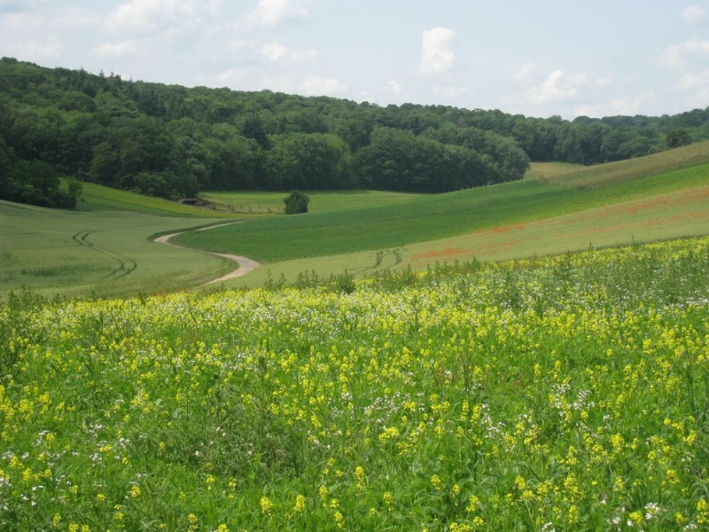 sentier les vaux du Millon2.jpg