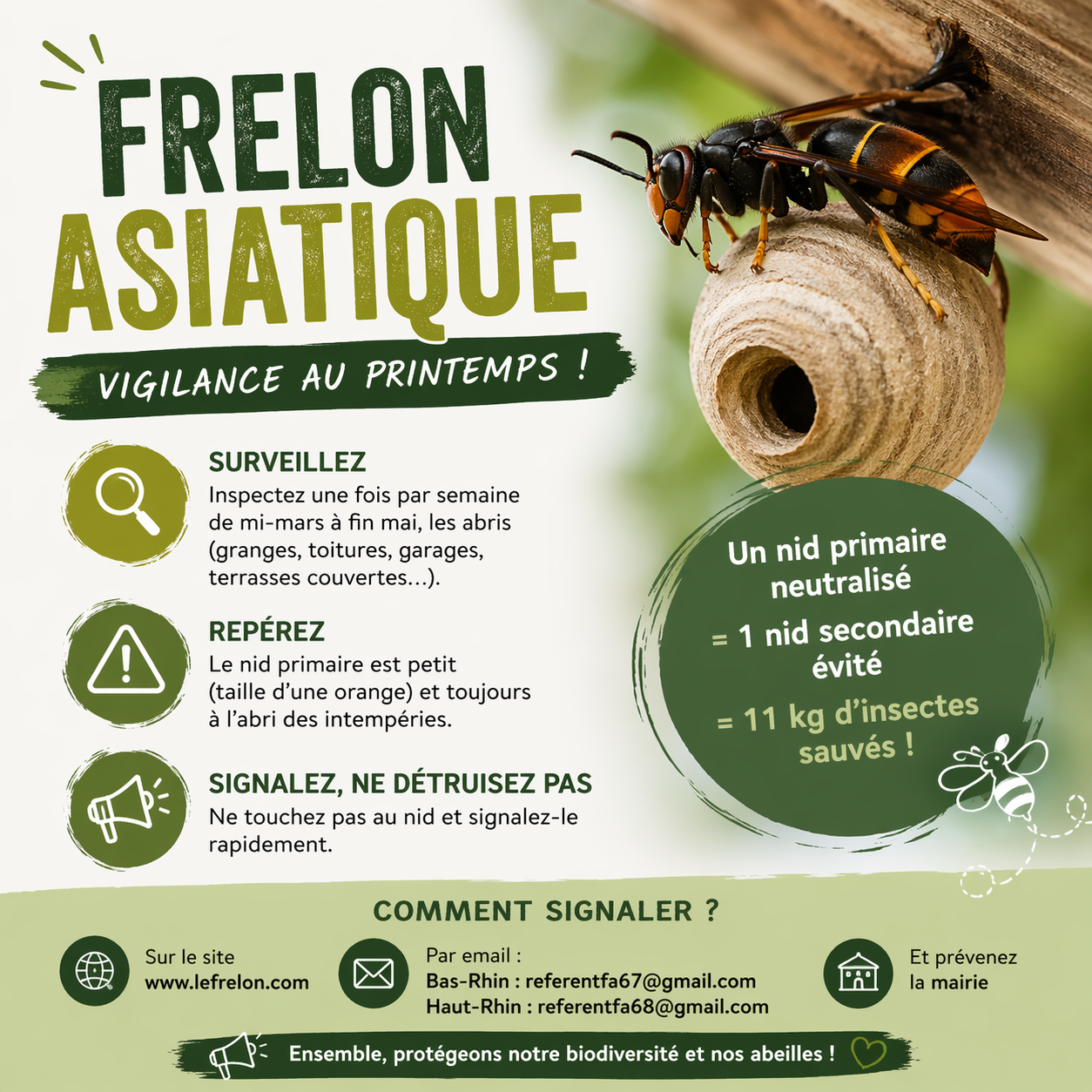 ChatGPT Image 23 avr. 2026, 22_39_09.png