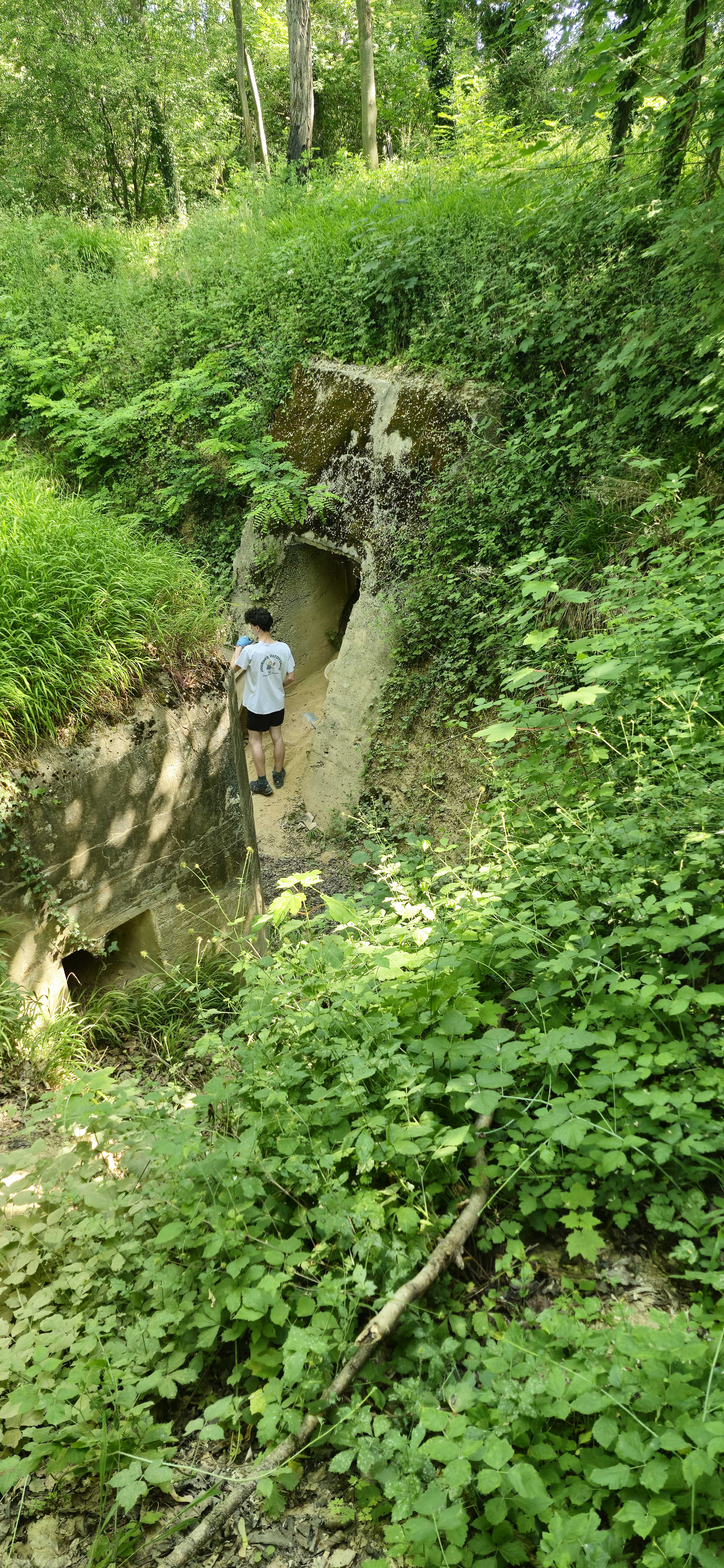 20260530_104748.jpg