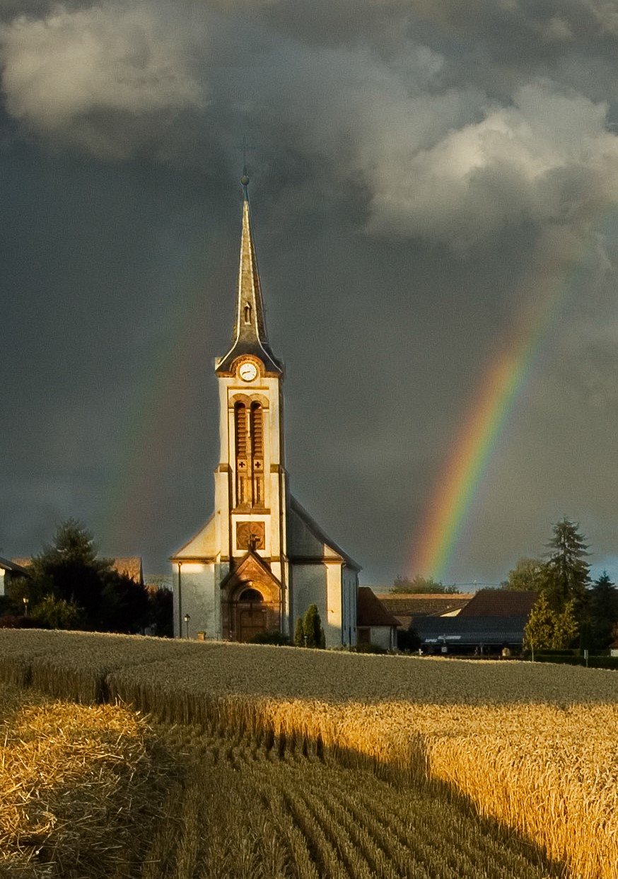 20090723-DSC_2445 copie.jpg