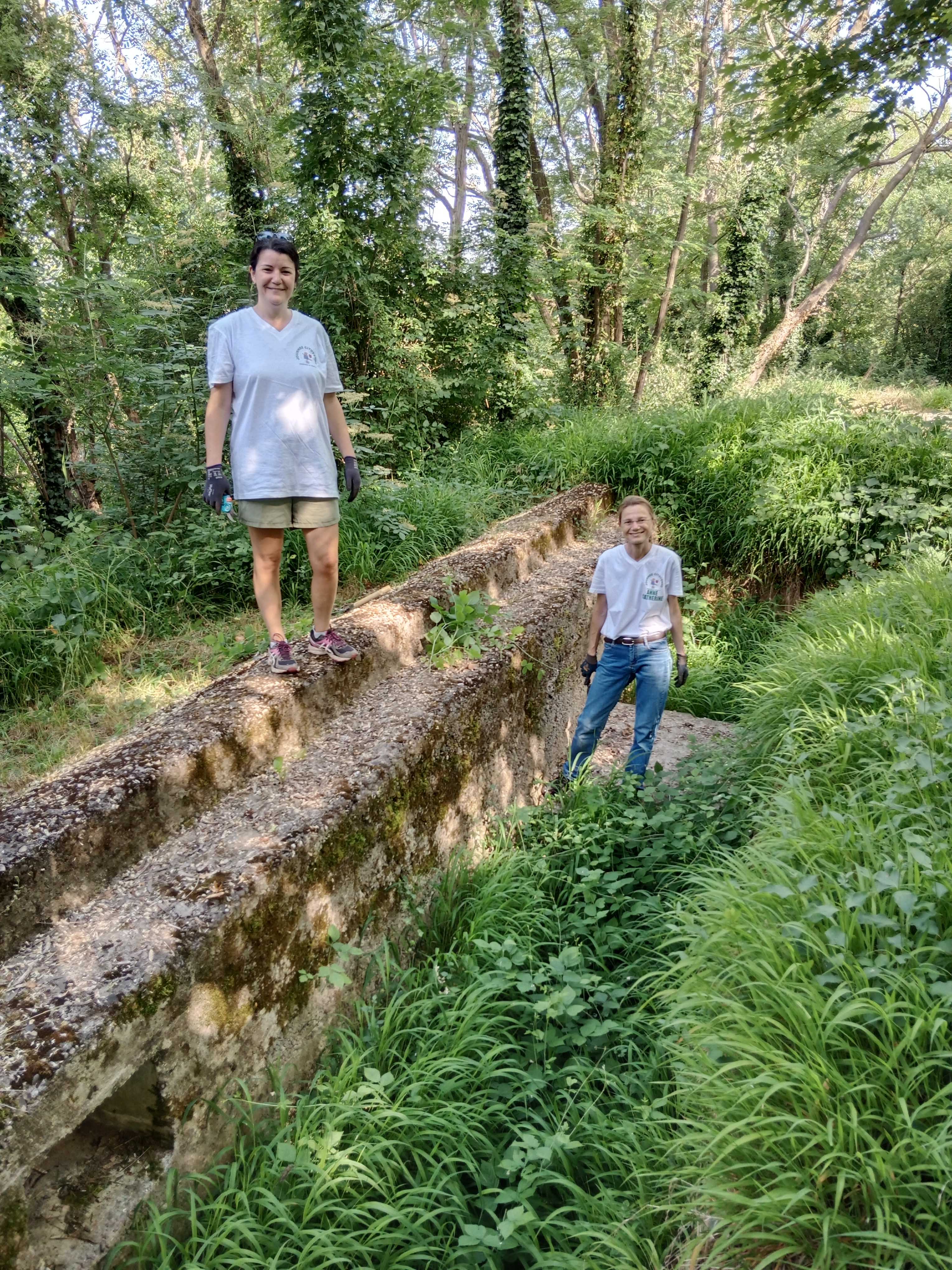1000047253.jpg