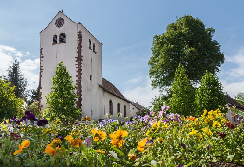 Eglise Pfulgriesheim