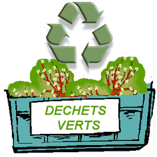 déchets-verts.png