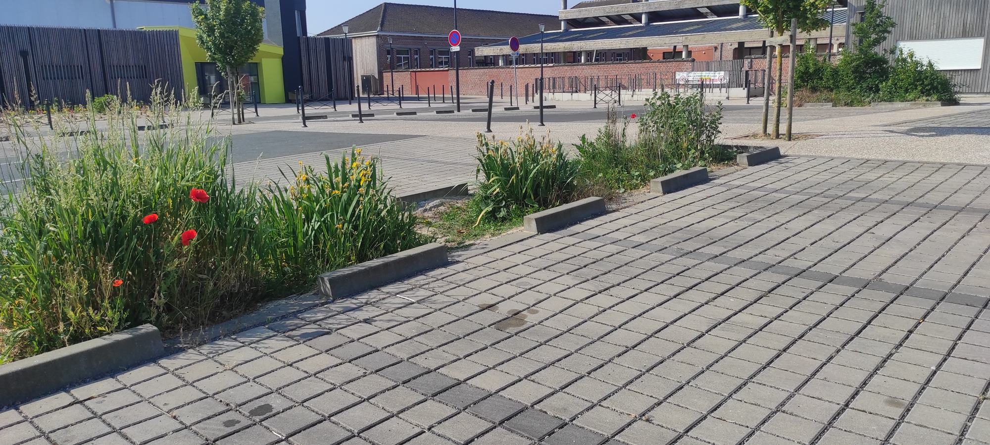 Transition eco - ressource en eau _2_.jpg