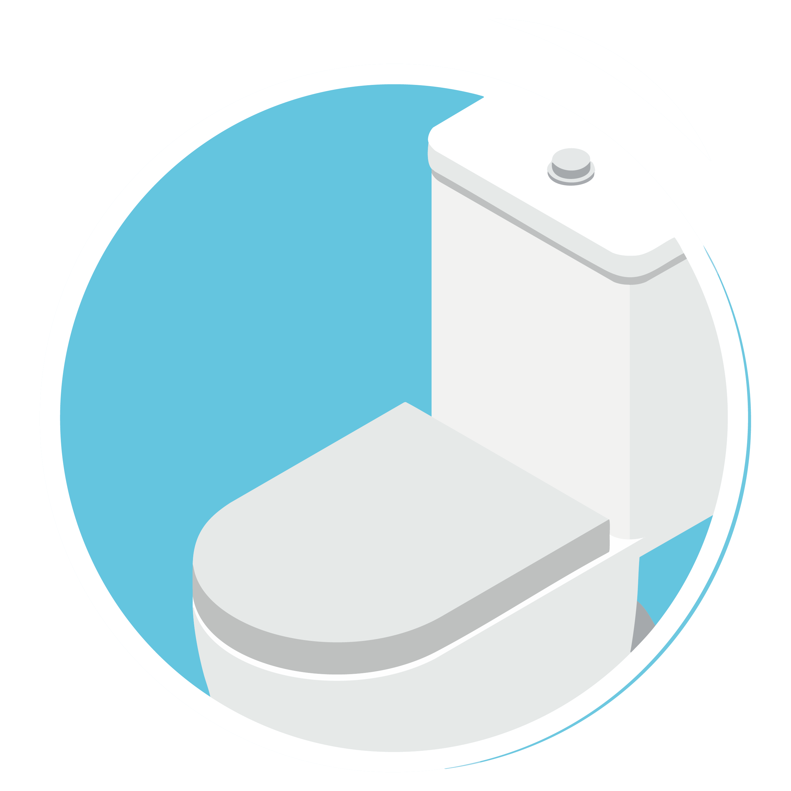 pastille toilette.png
