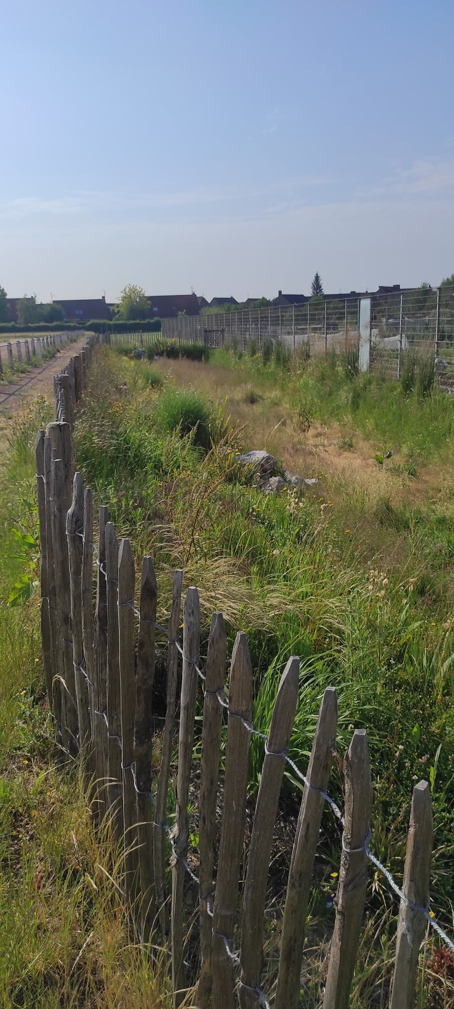 Transition eco - ressource en eau _3_.jpg