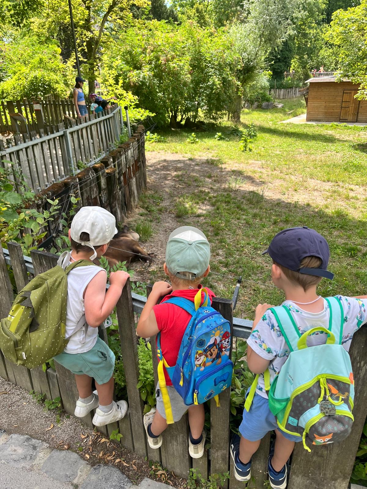 photos semaine 1 - ZOO 1.jpeg