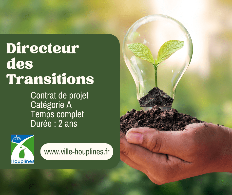 offre emploi - directeur des transitions.png